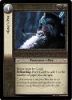 Realms Of The Elf-Lords Uncommon Set Of 40 Cards!