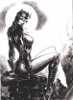 Super-Villains Noir N2 - Catwoman