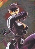 Super-Villains Silver Parallel S3 Sirens Catwoman