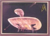 Star Trek TOS 50th Anniversary Enterprise Concept Art E3 U.S.S. Enterprise Concept Art