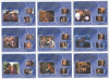 Star Trek Voyager Heroes & Villains Voyager Relationships Set Of 24 Cards!