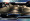 Enterprise Season Two Embossed Parallel 161E "...