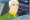 "Quotable" Star Trek "Quotable"...