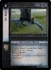 Promotional Exclusive Foil 0P22 Fell Beast FOIL