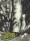 Star Trek Voyager Closer To Home The Adventures Of...