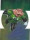 The New 52 Lantern Card LNTRN-03 Kilowog