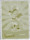Bombshells Yellow Printing Plate - Lil Bombshells ...